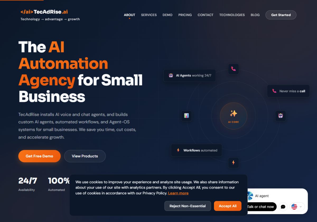 AI Automation Agency | Services &amp; Pricing for Small Business | TecAdRise.ai website screenshot