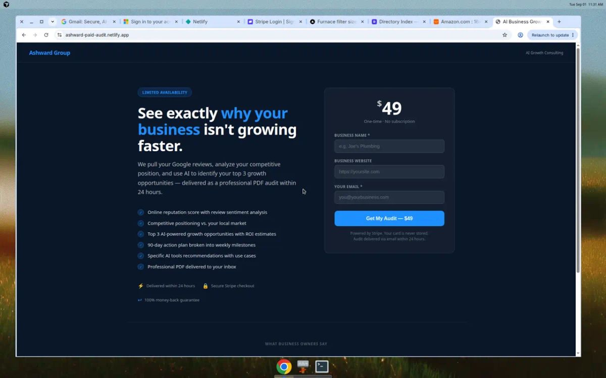 AI Business Growth Audit — $49 | Ashward Group screenshot