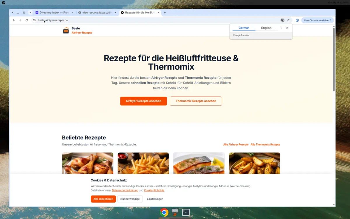 Beste Airfryer Rezepte website screenshot