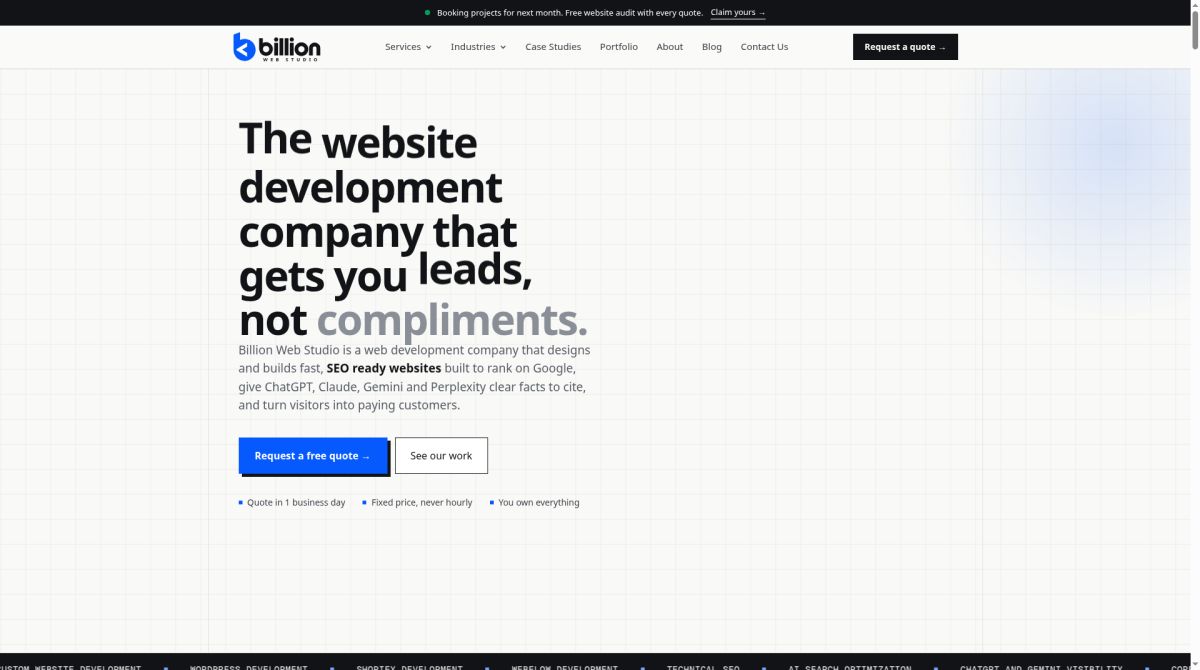 Billion Web Studio screenshot