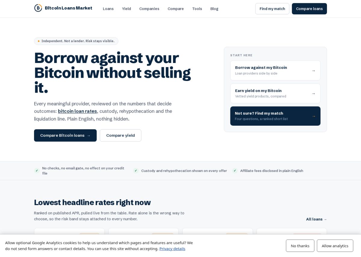 Bitcoin Loans Market website screenshot