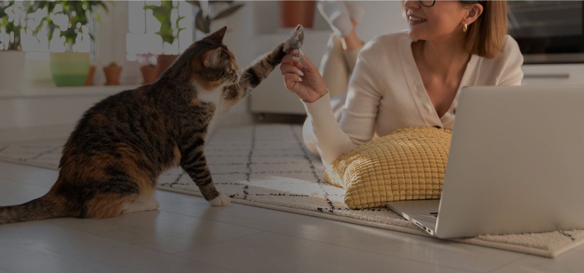 Furrbby website screenshot