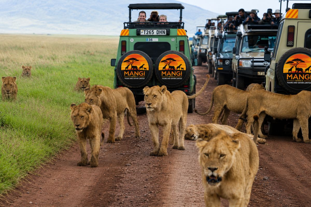 Home - Mangi Africa Tours and Safaris Limited screenshot