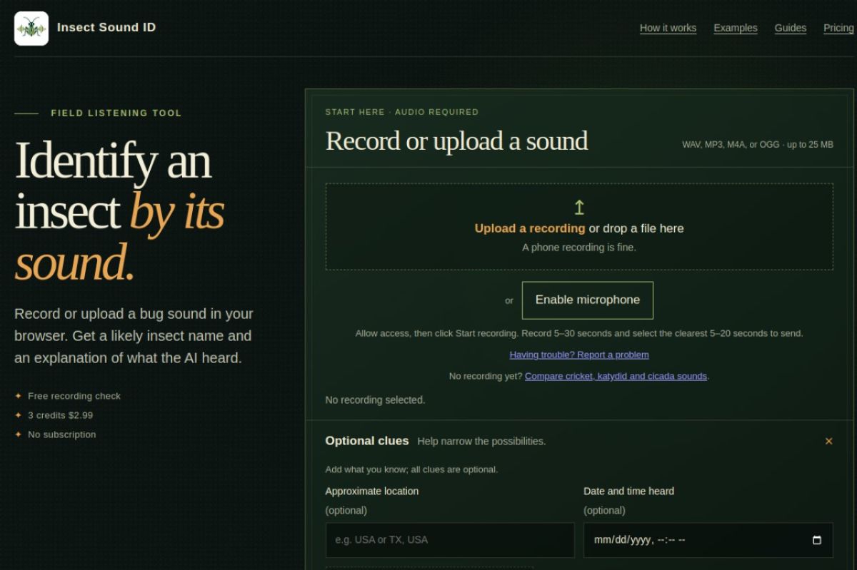 Insect Sound ID website screenshot