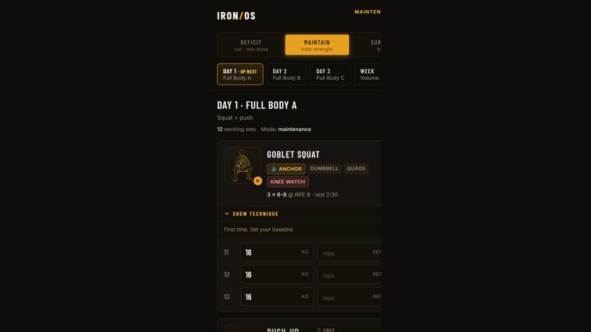 IRON/OS website screenshot