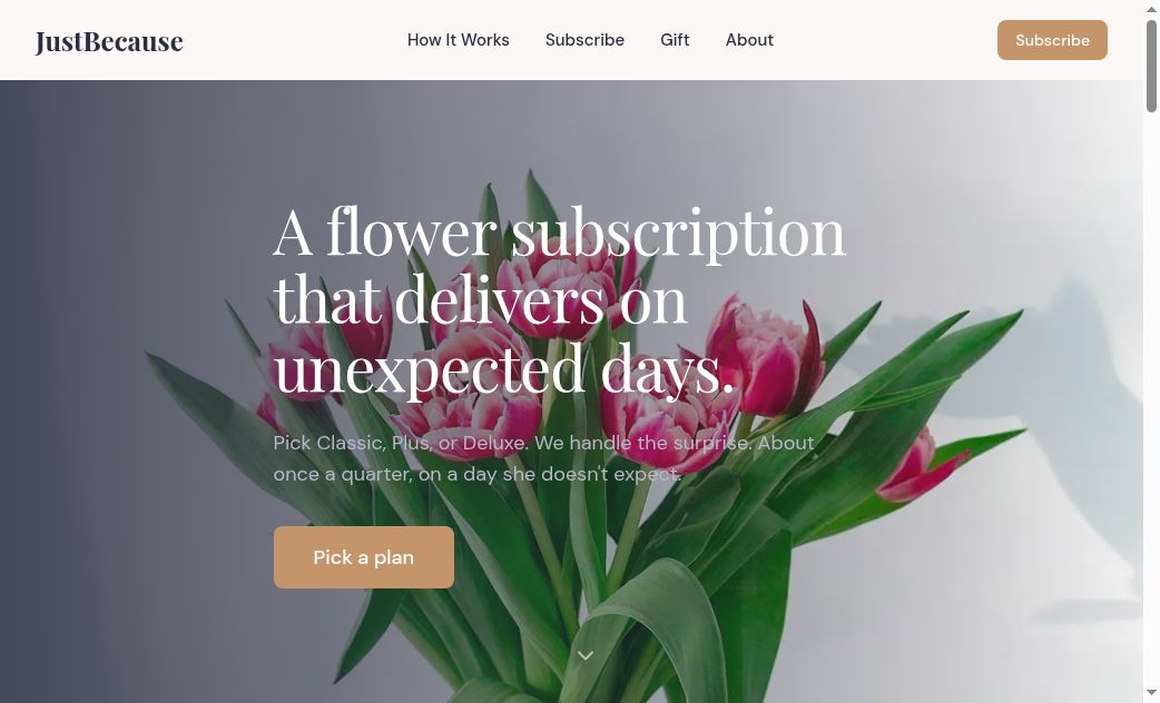 Just Because website screenshot
