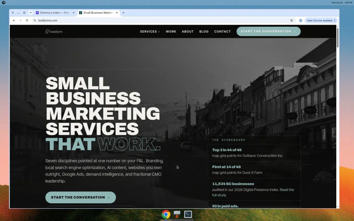 louislynn Consulting website screenshot
