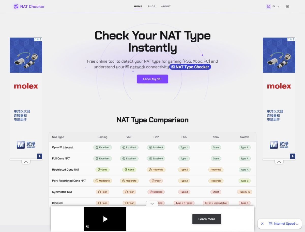 NAT Checker website screenshot