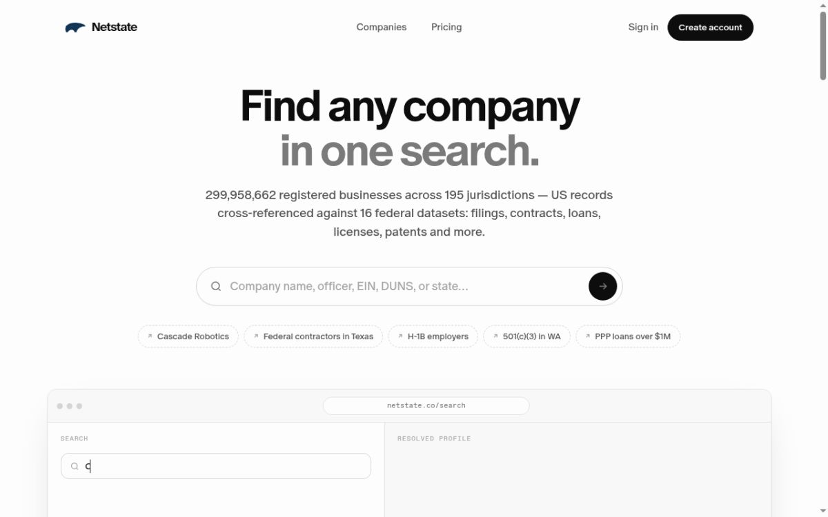 Netstate website screenshot
