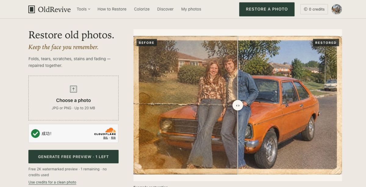 OldRevive screenshot
