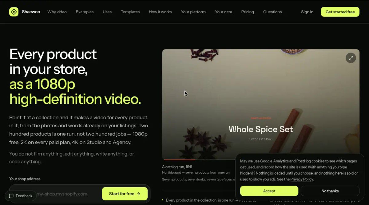 Shaewoo website screenshot
