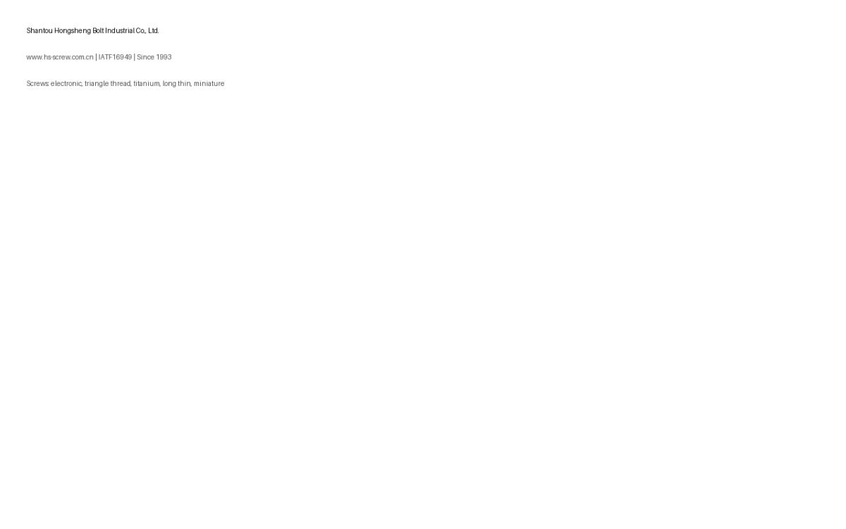 Shantou Hongsheng Bolt Industrial Co., Ltd. website screenshot