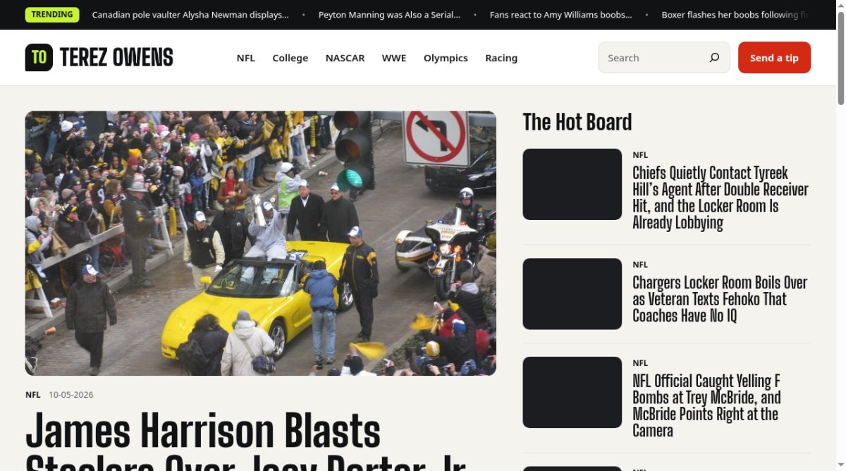 Terez Owens website screenshot
