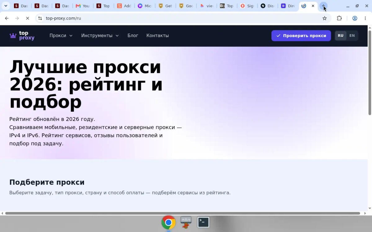 Top Proxy screenshot