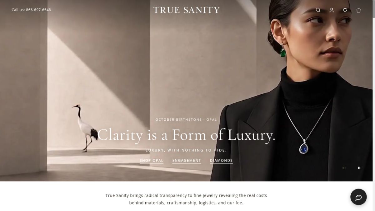 True Sanity Luxury Inc website screenshot